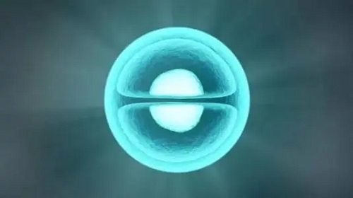 試管嬰兒精子檢查多少錢呢