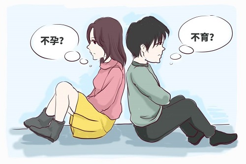 試管嬰兒成功率高嗎？還有辦法提高嗎？