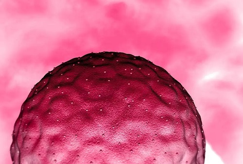 試管嬰兒有什么壞處、風險？