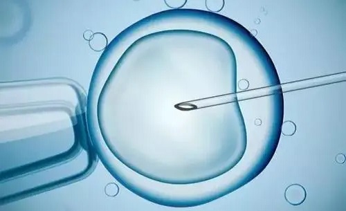 2022三代試管嬰兒精子活力要達(dá)到多少？