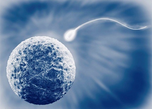 2022廈門第三代試管嬰兒費用明細有嗎？