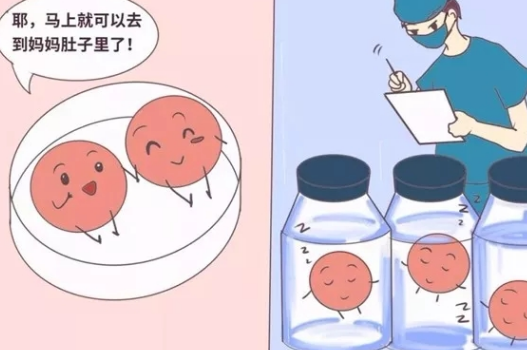 泰國(guó)試管嬰兒費(fèi)用需要多少