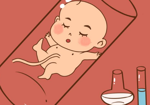 試管嬰兒過程所需的時間是多少