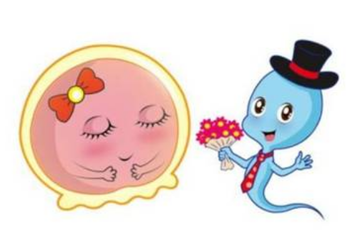 如何降低試管嬰兒費用