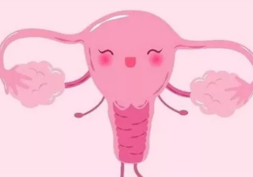 泰國(guó)試管成功率？?