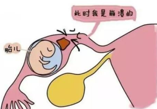 私立試管嬰兒醫(yī)院排名哪家好？