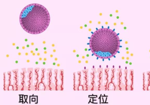 泰國試管攻略為什么比國內(nèi)費(fèi)用高？